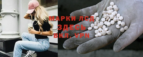 spice Гусев