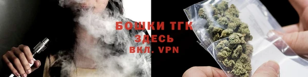 мяу мяу кристалл Гусь-Хрустальный