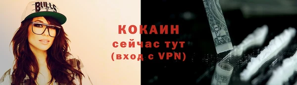 мяу мяу кристалл Гусь-Хрустальный
