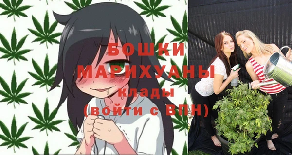 мяу мяу кристалл Гусь-Хрустальный