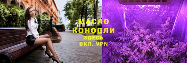 spice Гусев