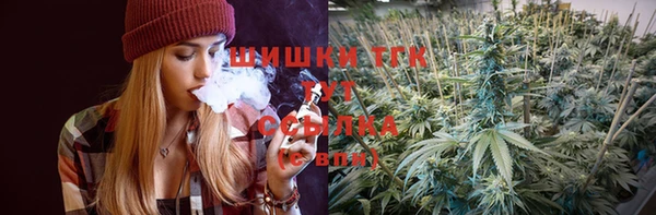 spice Гусев