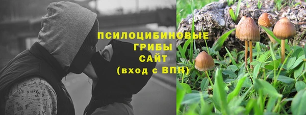мескалин Дмитриев