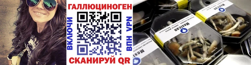 Купить где  Каменногорск  Псилоцибиновые грибы мухоморы 