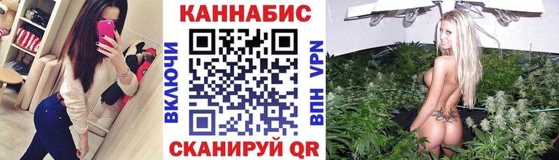 Шишки марихуана план  Купить  Каменногорск 